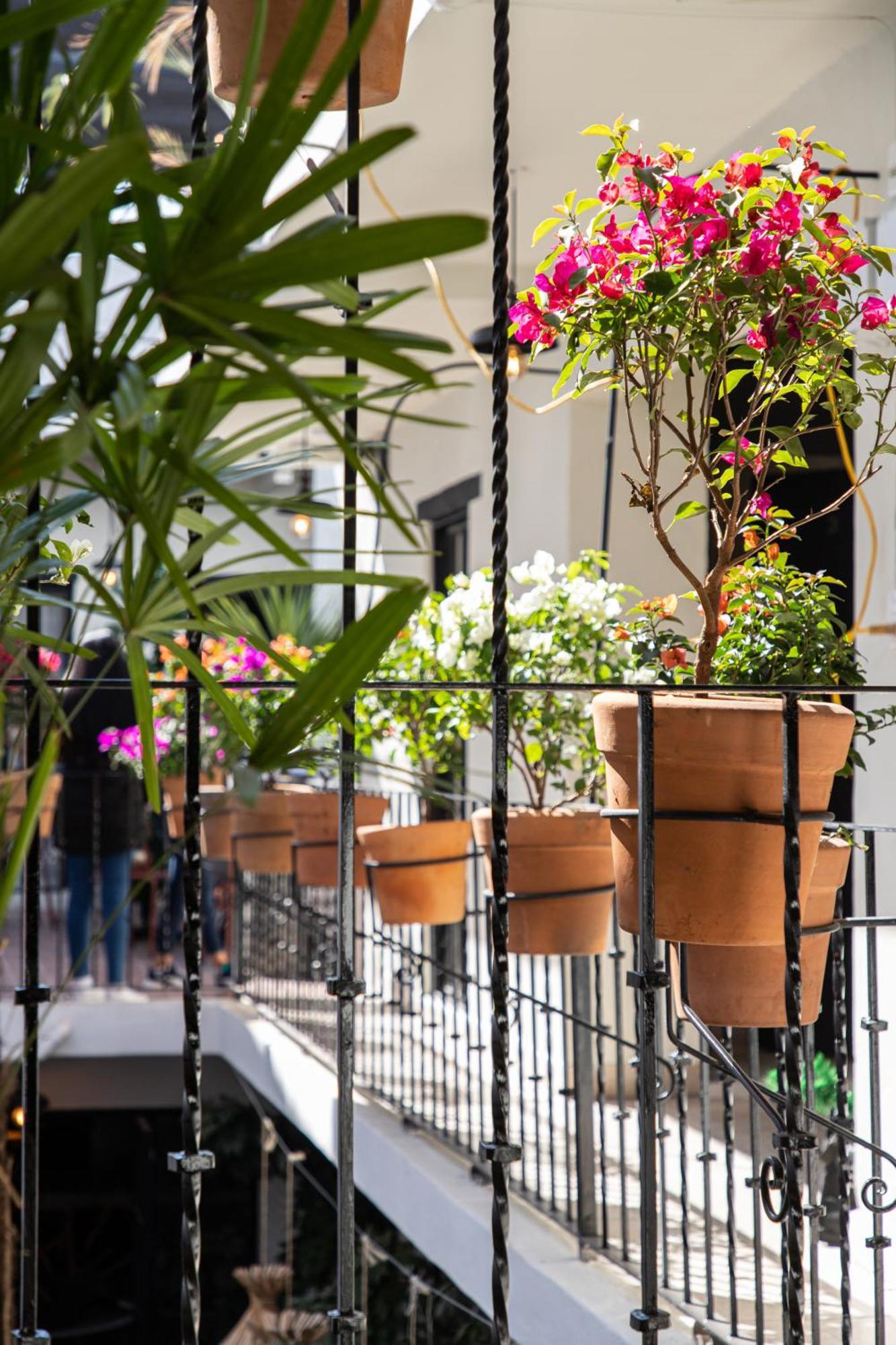 Holt Hotel Del Pueblito San Miguel de Allende Kültér fotó